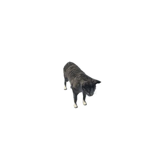 HerdSim Cat